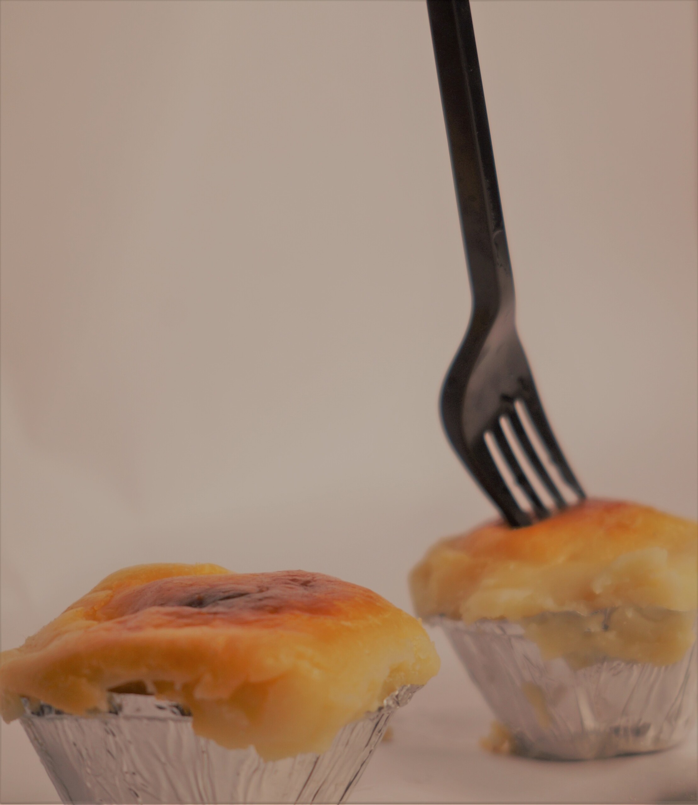 Baked Rosogolla with Fork