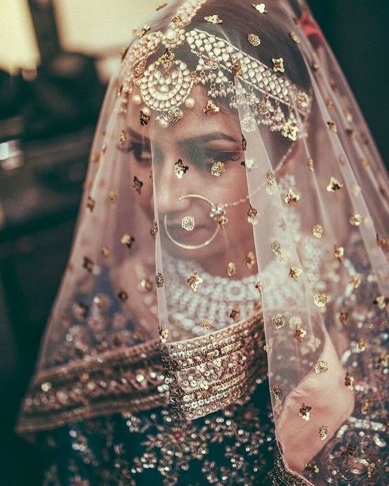 Zardozi Border Indian Wedding Veil