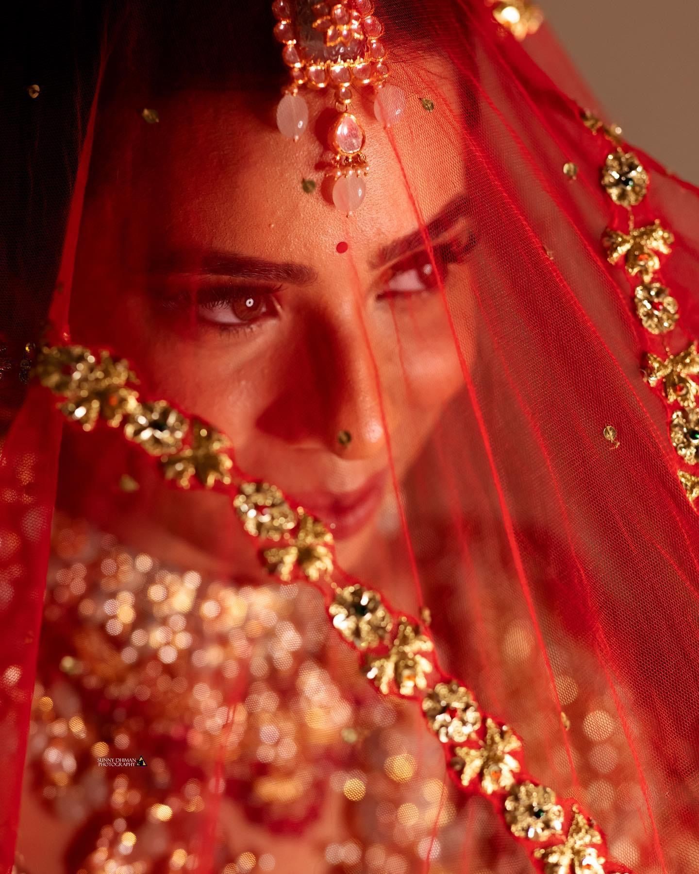 Sequin Cluster Indian Wedding Veil