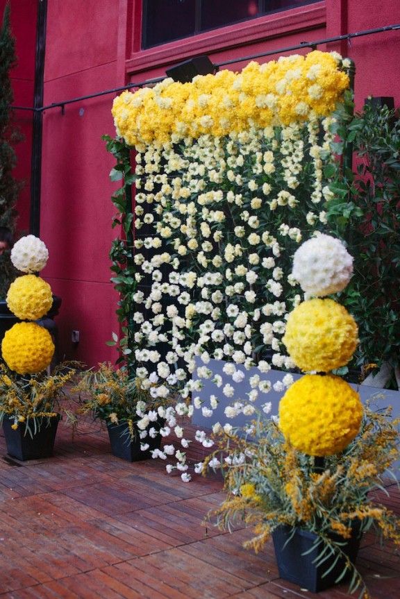 White Flower Haldi Backdrop Decoration