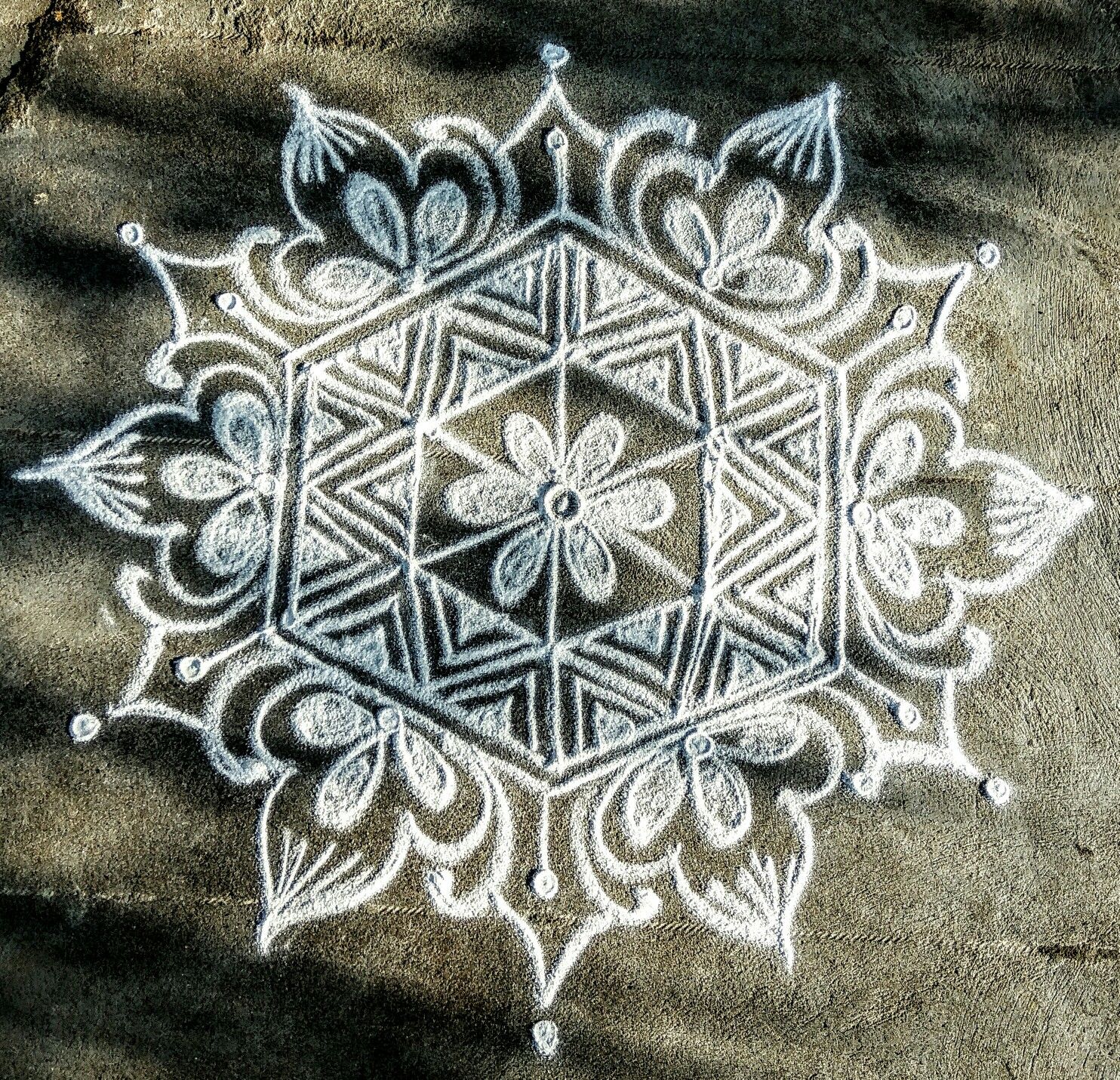 Floral Chukki Rangoli Kolam