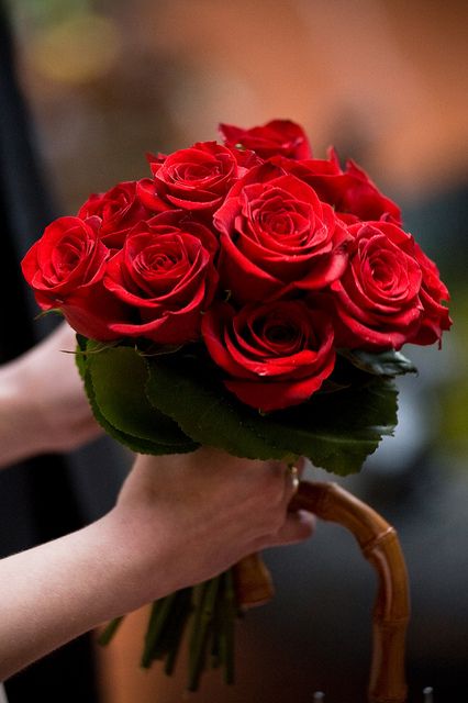 10 Amazing and Beautiful Rose Day Wishes for WhatsApp: