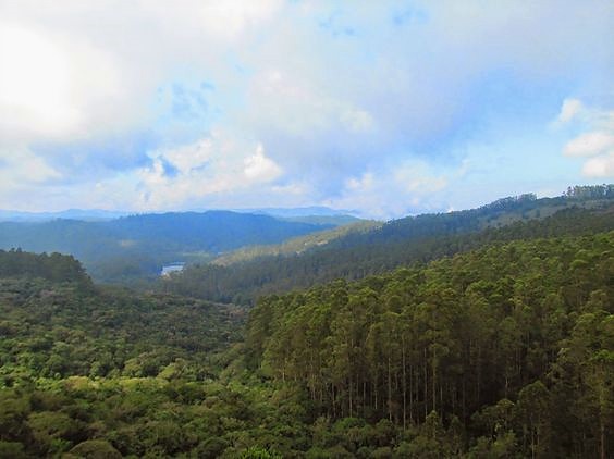 Berijam Lake in Kodaikanal Honeymoon Package