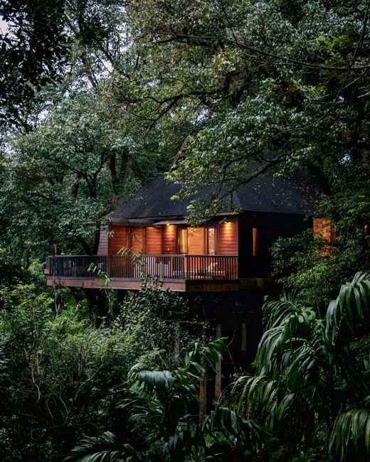 Coorg Honeymoon Packages with a stay at Tamara Coorg 