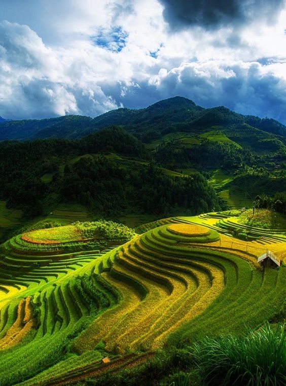 Green Valley View