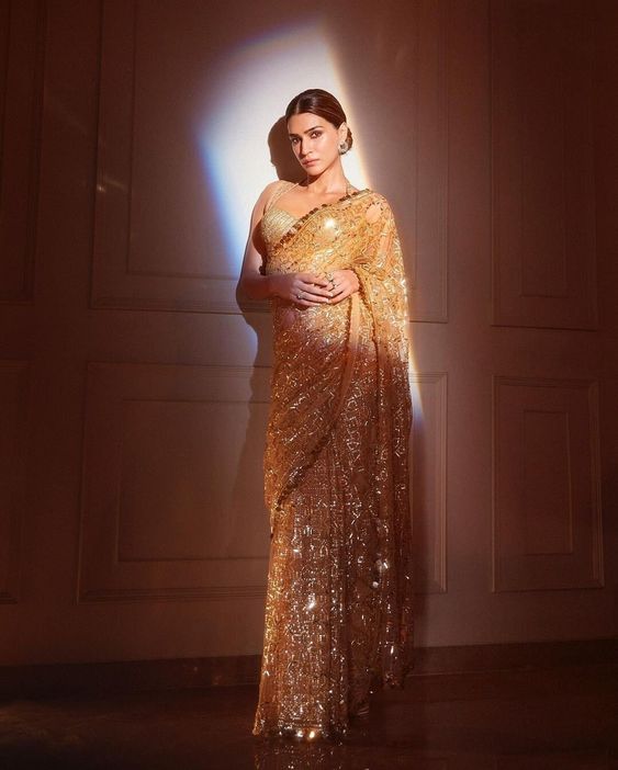 Tussar Silk Saree in Net Fashion 