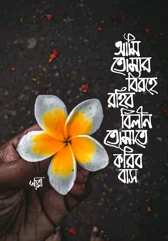 Bengali WhatsApp Status