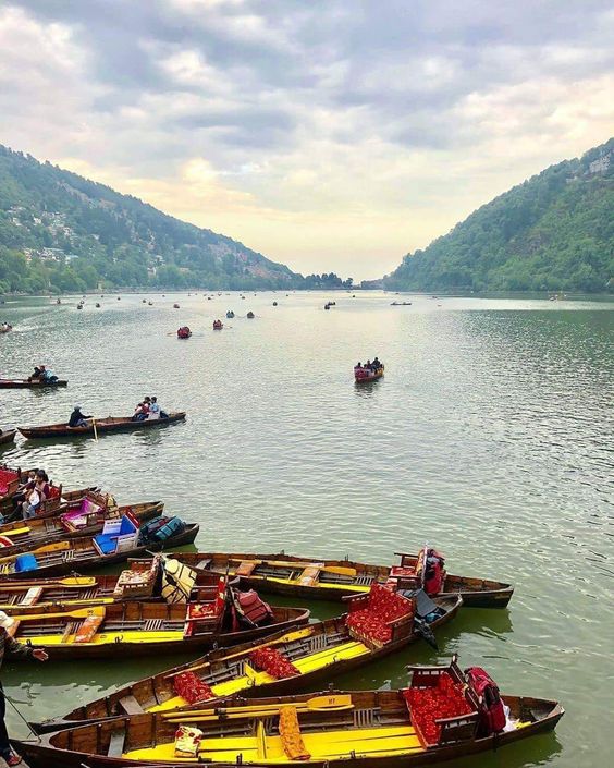Boating and Rowing at a Beautiful Lake 