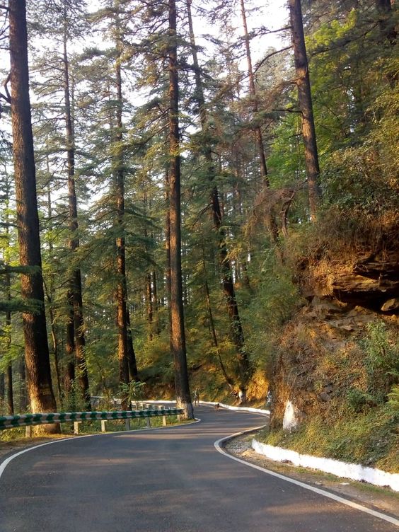 Romantic Walks in the Nainital Honeymoon Tour Package 