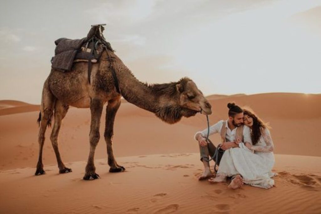 12 Famous Luxury Wedding Planner in Dubai for A Dream Wedding