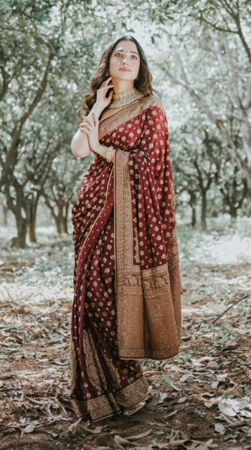The Sabyasachi Bridal Banarasi Silk Saree