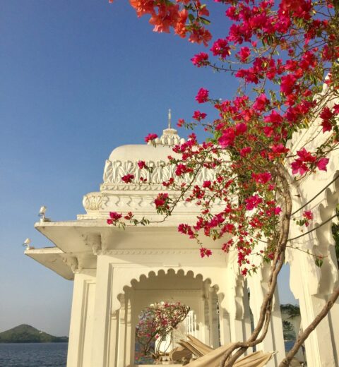 Top Destination Wedding in Rajasthan: 10 Beautiful Venues for a Fabulous Wedding